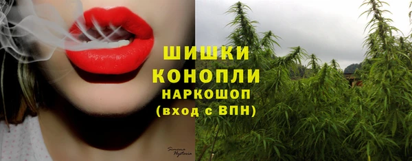 марки nbome Гусев