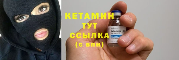 шишки Гусь-Хрустальный