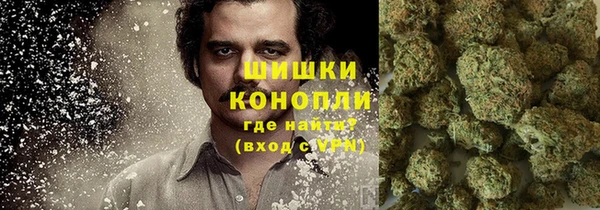 ГАЛЛЮЦИНОГЕННЫЕ ГРИБЫ Гусиноозёрск