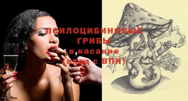 шишки Гусь-Хрустальный