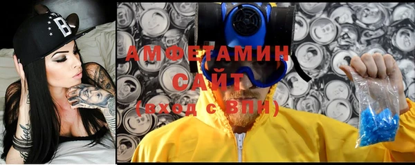 шишки Гусь-Хрустальный