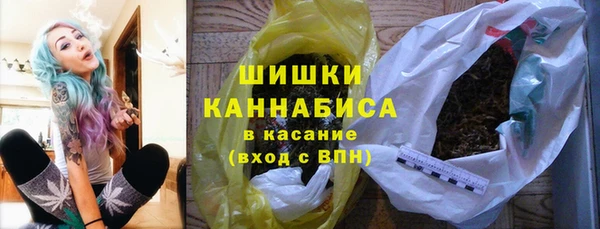 шишки Гусь-Хрустальный