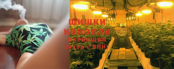 ГАЛЛЮЦИНОГЕННЫЕ ГРИБЫ Гусиноозёрск