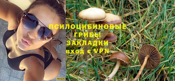 марки nbome Гусев
