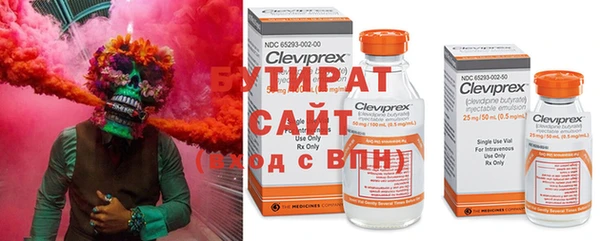 ГАЛЛЮЦИНОГЕННЫЕ ГРИБЫ Гусиноозёрск