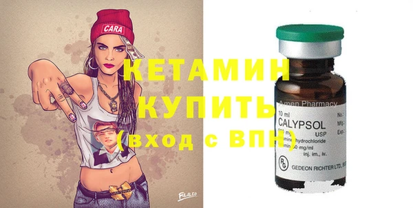 шишки Гусь-Хрустальный
