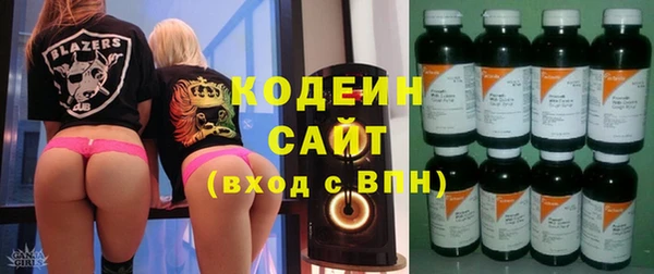 шишки Гусь-Хрустальный