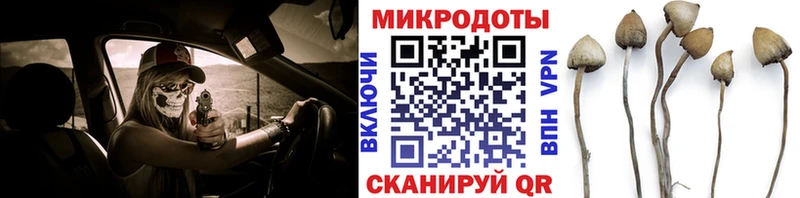 Галлюциногенные грибы Magic Shrooms  Радужный 
