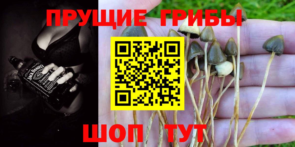 Псилоцибиновые грибы мицелий  Вход с VPN  Радужный 